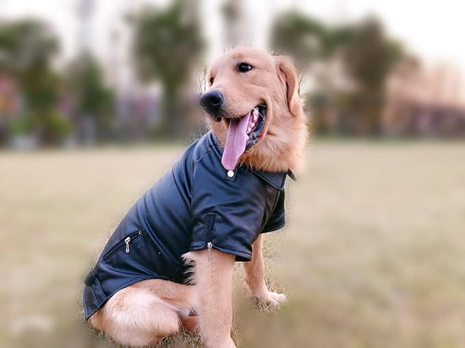 Lovelonglong Cool Dog Leather Jacket, Warm Coats Dogs Windproof Cold Weather Coats for Large Medium Small Dogs, Toy Poodle Clothing Black XS