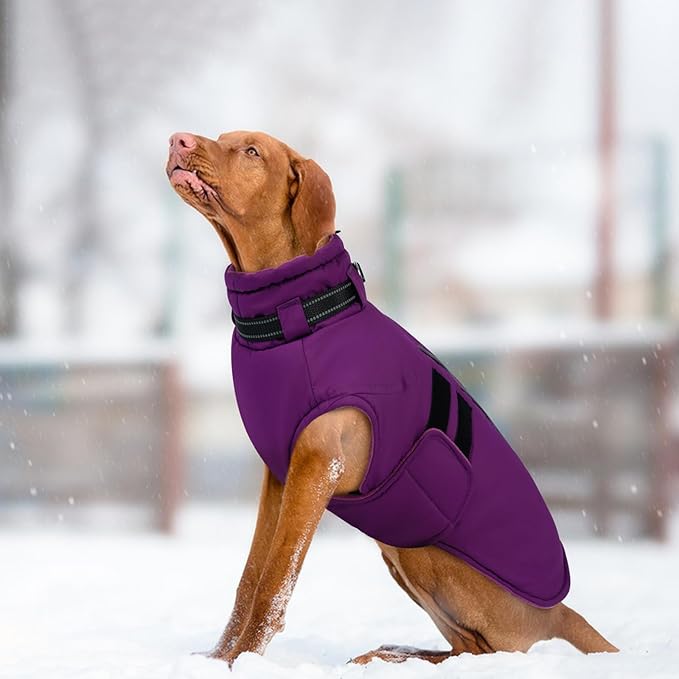 IECOii Big Dog Winter Coat for Giant Breed Dogs Waterproof Dog Jacket with Built in Collar, Reflective Dogs Coat Pet Snow Jacket for Great Dane Saint Bernard, Easy Outdoor Walking, Purple - 5XL