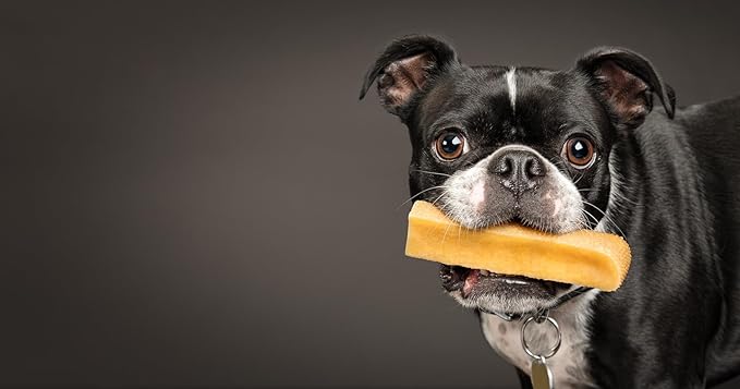 peaksNpaws Himalayan Yak Chews, High Protein Cheese Sticks, Lactose Free, Natural, Long Lasting Dog Treat for Aggressive Chewers Under 15 lbs, 10 Small Treat Sticks, 100% Eco-Friendly Packaging