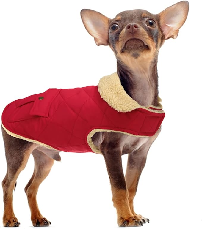 Queenmore Warm Dog Coat, Cold Weather Puffer Jacket with Ultra Thick Plush Lining and Storage Pockets (Red, X-Large)