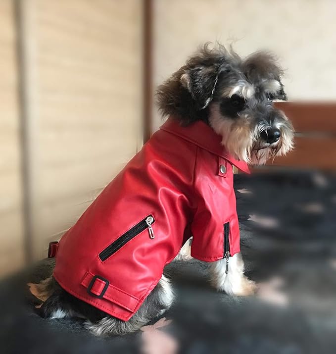 Lovelonglong Cool Dog Leather Jacket, Warm Coats Dogs Windproof Cold Weather Coats for Large Medium Small Dogs, Boston Terrier Clothing Red XXL