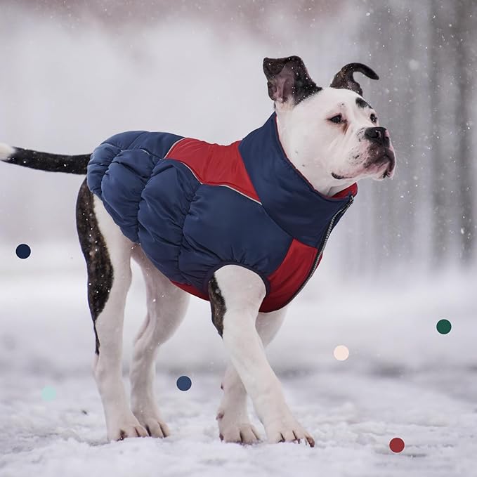 IECOii Large Dog Coat,Dog Jackets For Large Dogs Windproof Waterproof,Dog Winter Coat With Easy On Front Zipper,Thick Dog Fleece Vest With Harness Hole,Cold Weather Dog Snow Jacket For Large Dog,Large