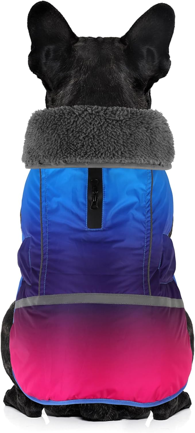 Dogcheer Warm Dog Coat, Waterproof Dog Winter Jacket Christmas Puppy Cold Weather Coats with Buckle, Reflective Adjustable Pet Snow Jacket for Small Medium Large Dogs - Gradient Blue-red, 2XL