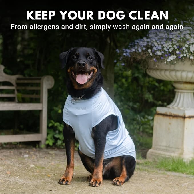 Spark Paws Sunblock Dog T-Shirt, SPF30 Protection, Lightweight Breathable Quick Dry for Dogs with Sensitive Skin - Blue & Grey (Set of 2) - S