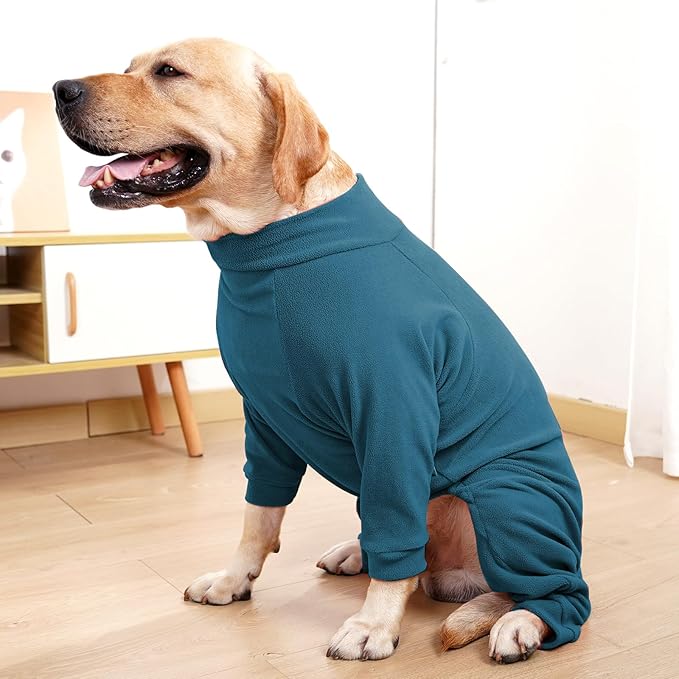 Dog Winter Coat for Small Medium Large Dog Run Walk Sleep Pet Warm Fleece Sweater & Windproof Pajamas Snow Jacket Medium Turquoise