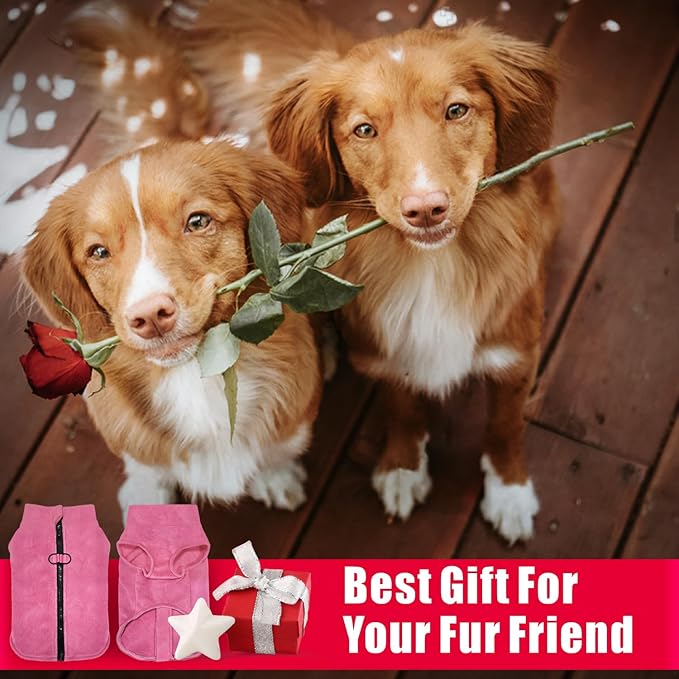 Idepet Dog Fleece Vest Sweater Zip Up Warm Pullover Dogs Jacket with D-Ring Leash Winter Cold Weater Coat Pet Sweatershirt Clothes Hoodie for Small Medium Dogs Boy Girl (Rose Red, M)
