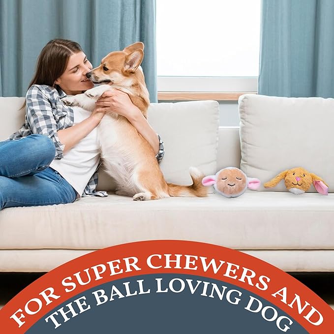 Flourish Pets 2 in 1 Multi-Layer Chew Toy for Active Dogs | Non-Toxic BPA Free Double Stitched Soft Fabric Exterior Dog Toys | Long-Lasting Dog Plush Toys ā Easter 3.5" (2 Pack)