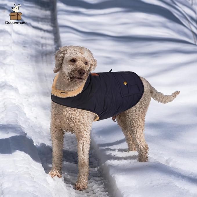 Queenmore Warm Puffer Dog Coat, Quilting Winter Jacket Ultra Thick Plush Lining with Storage Pockets (Dark Navy, X-Large)