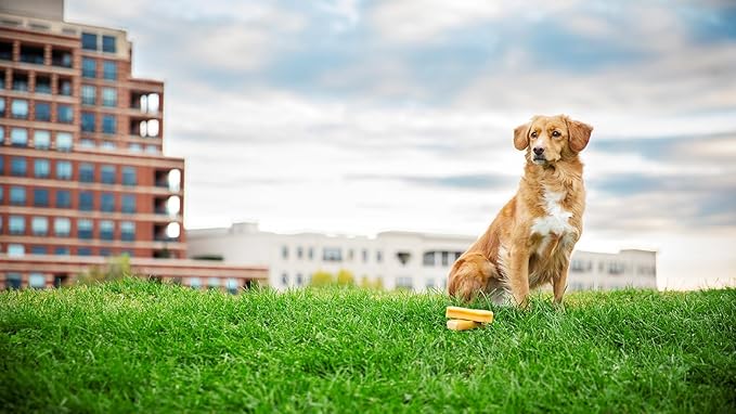 peaksNpaws Himalayan Yak Chews, High Protein Dog Treat for Aggressive Chewers, Natural, Long Lasting, Lactose Free Chew Stick for Pet Under 35 lbs, 20 Medium Treats, 100% Eco-Friendly Packaging