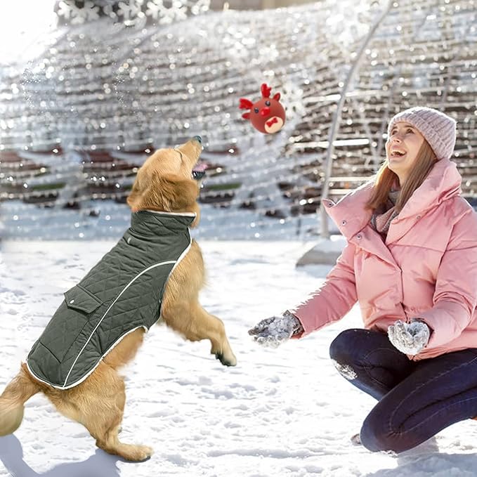 Malier Dog Winter Coat, Windproof Dog Cold Weather Coats with Real Pocket, Winter Extra Warm Pet Coat Fleece Jacket Reflective Clothes for Small Medium Large Dogs and Puppy (Green, X-Small)