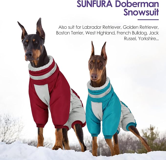 SUNFURA Full Body Dog Coat - Warm Fleece Jacket for Medium Dogs, Turtleneck Winter Coats with Harness, Reflective Dog Snowsuit Windproof Puffer Jackets with Legs for Boston Terrier, Turquoise M