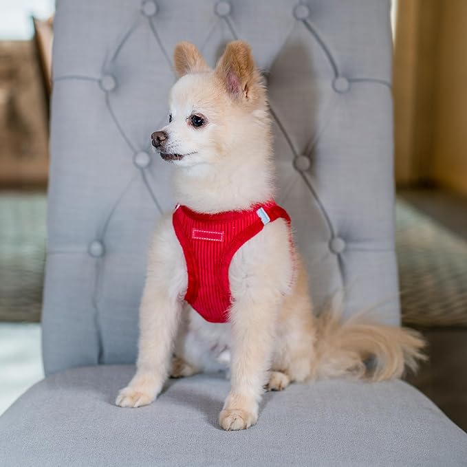 Best Pet Supplies - All Weather Mesh/Plush, Reflective, No Pull Harness for Small, Medium Dogs, Cats - Secure with Hook & Loop Fastener, Buckle, Double D-Rings - Red Corduroy, L
