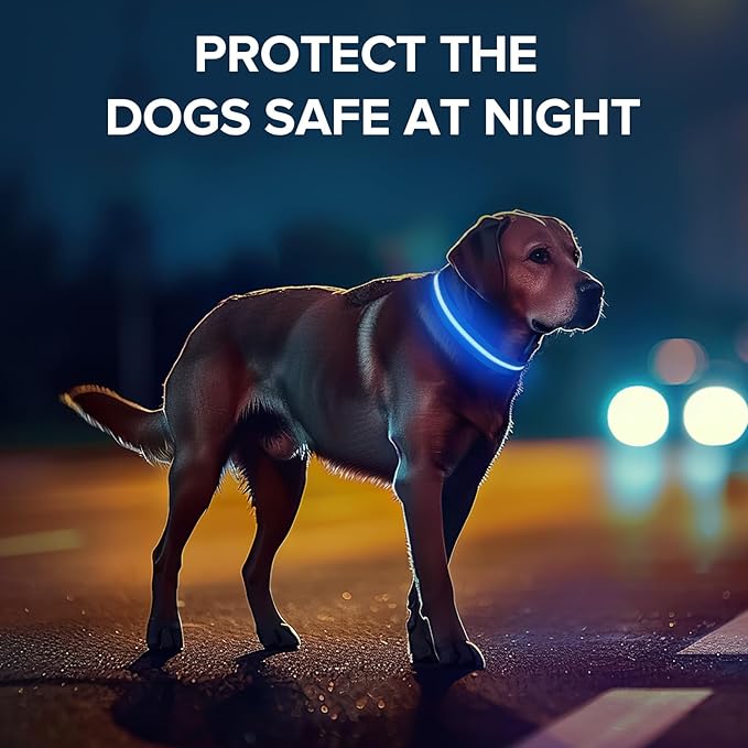 Light Up Dog Collar, Adjustable USB Rechargeable Glow in Dark Dog Collar ,Waterproof Dog Collars for Large Dogs (Blue, Large)