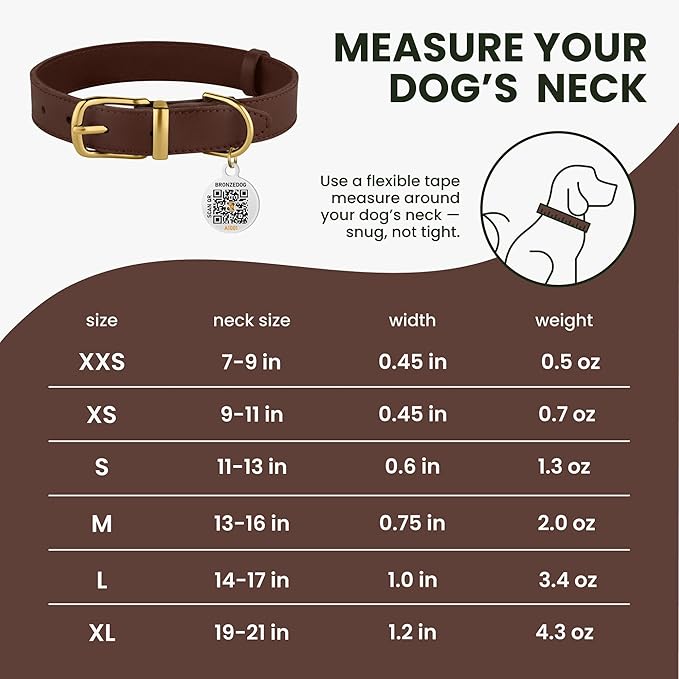 BRONZEDOG Leather Dog Collar with Metal Buckle Durable Basic Pet Collars for Small Medium Large Dogs (19-21 Inch (Pack of 1), Dark Brown & Gold Buckle)