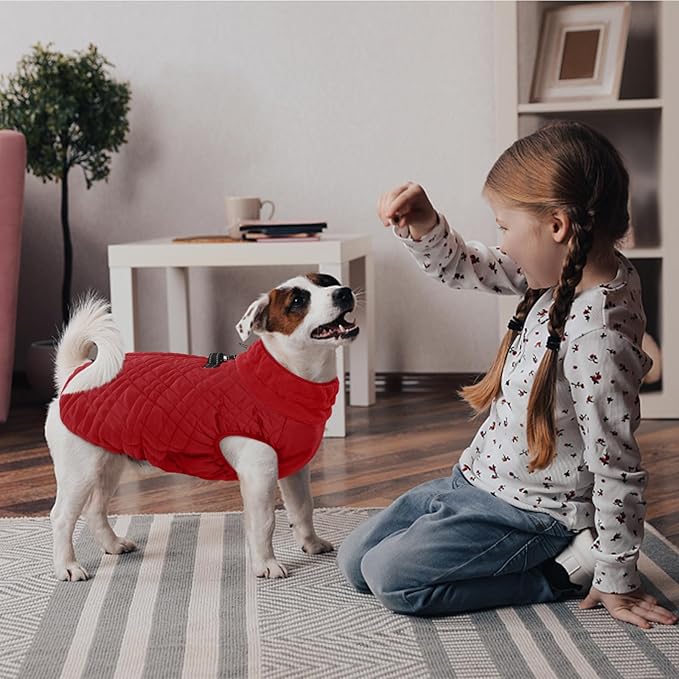 Kuoser Medium Dog Coat | All-Breed Thermal Wear with Windproof Layer | Reflective Tabs Enhance Visibility in Snow, Snap Buckles Simplify Dressing, Red M