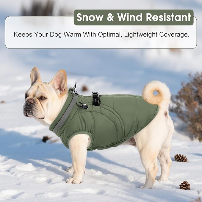 SAWMONG Dog Coat, Warm Dog Winter Coat, Waterproof Fleece Jacket, Cold Weather Dogs Jacket (2XL,Green)