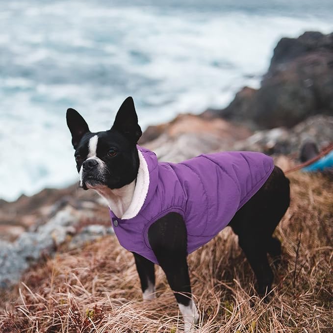 Dog Fleece Hoodie, Windproof Waterproof Dog Coat, Winter Warm DogsJacket, Cold Weather Pet Apparel Clothes Vest for Small Medium(M, Purple)