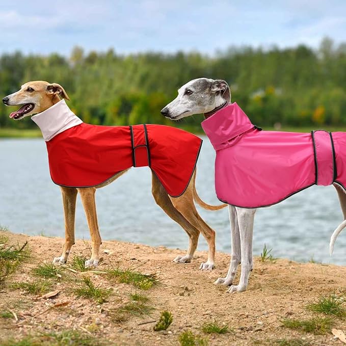 Dog Raincoat with Reflective Bar, Rain/Water Resistant, Adjustable Vest - Dog Raincoats for Greyhounds, Lurchers and Whippets - Pink - S