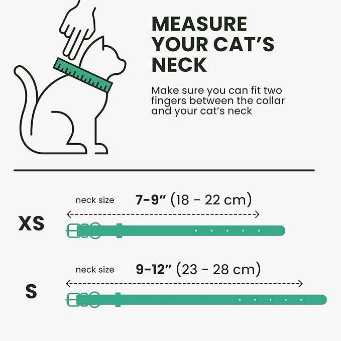 BRONZEDOG Leather Cat Collar with Removable Bells Non Breakaway Kitten QR Tag for Girl Boy (7" - 9" for Cats, Turquoise & Silver)