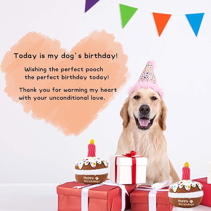 Dog Birthday Toy, Birthday Cake Toys for Puppy Gifts, Squeaky Plush Dog Toys