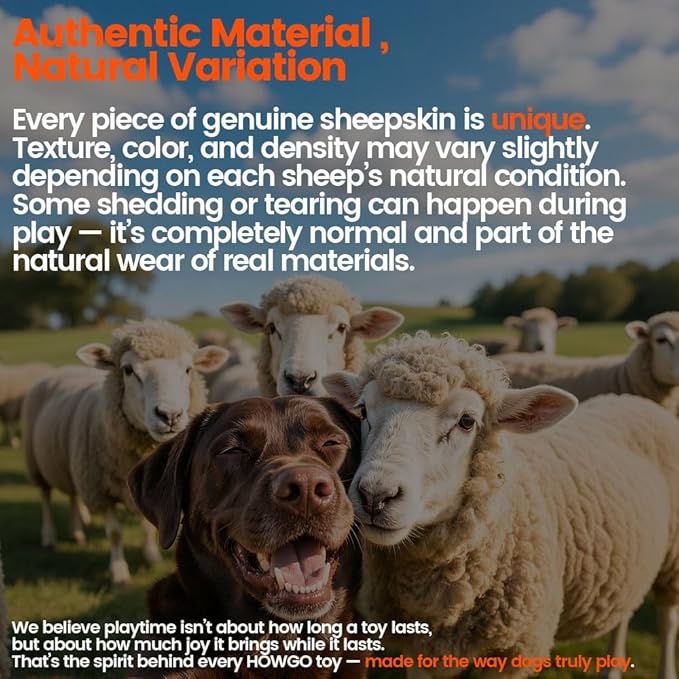 HOWGO Dog Rope Toy,Dog Bungee Chaser Toy 100% Sheepskin,Sheep Smell Tug Toy for All Breeds (Black, Short Without Ball)