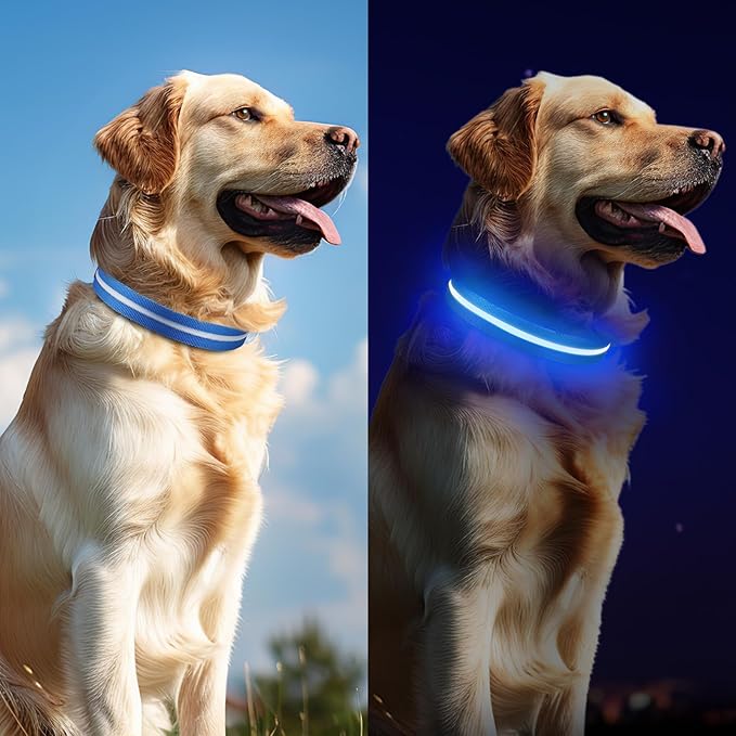 Light Up Dog Collar, Adjustable USB Rechargeable Glow in Dark Dog Collar ,Waterproof Dog Collars for Small Dogs (Blue, Small)