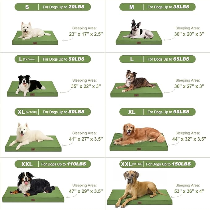 Outdoor Orthopedic Dog Bed for Medium Dogs & Cats, Waterproof Flat Pet Mat with Egg Crate Foam & Washable Removable Oxford Cover, 30x20 Inch, Light Green