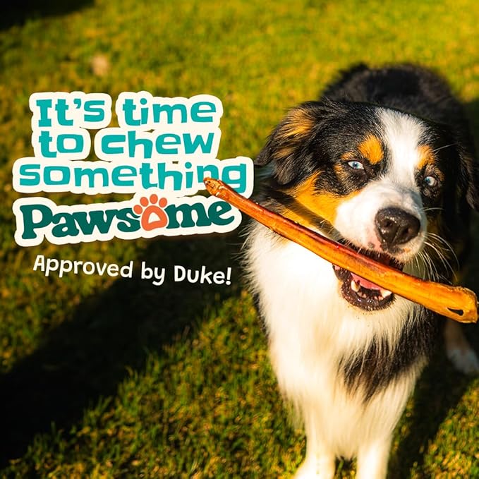 Bully Sticks 6–7" — 8 oz | Natural Single-Ingredient, Long-Lasting Dog Chews; Dental Support Treats for Small, Medium & Large Dogs