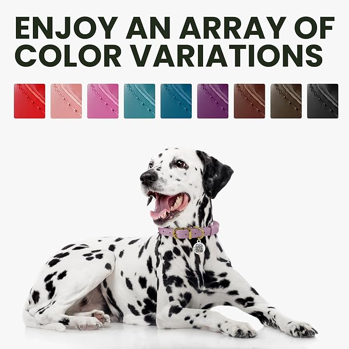 BRONZEDOG Rolled Leather Dog Collar for Small Medium Large Dogs with QR ID Tag (M: 14-16 Inch, Teal)