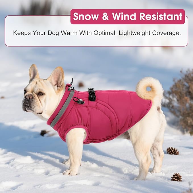 SAWMONG Dog Coat, Warm Dog Winter Coat, Waterproof Fleece Jacket, Cold Weather Dogs Jacket (XS,Rosered)