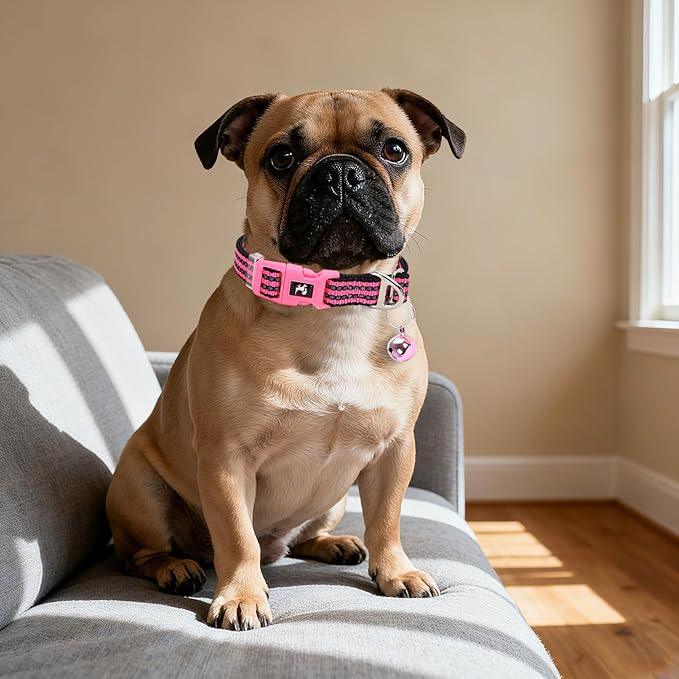 Small Dog Collar with Bell Reflective - Adjustable Tiny XS XXS Breed Collar for Girl Female,Night Walk Safety Accessory(Pink S)