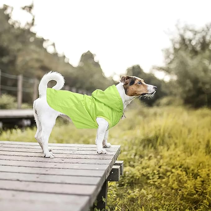Dog Raincoat rain Jacket Dogs Waterproof fit for Small Medium Breeds Zipper Closure Pocket Storage in Cold Day - Light Green - XXL