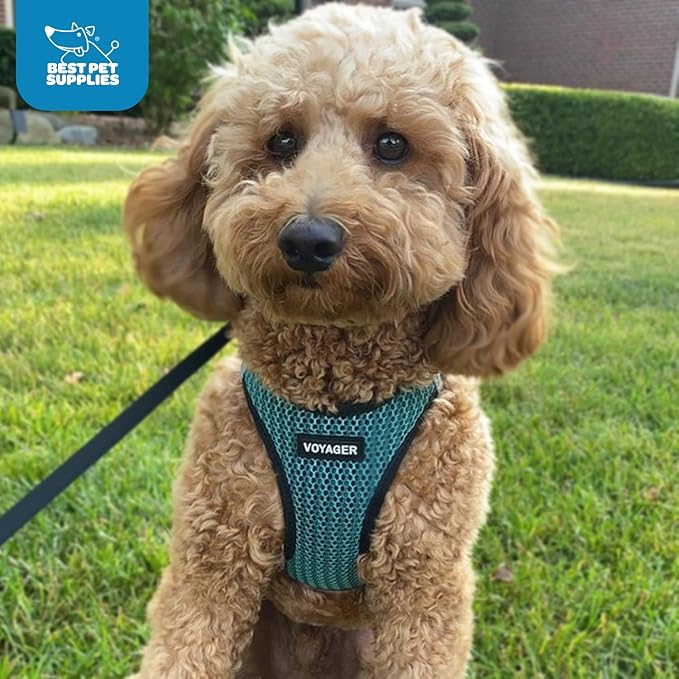 Best Pet Supplies Voyager Step-in Air Harness - All Weather Mesh, Reflective, No Pull Harness for Dogs, Cats - Secure with Hook & Loop Fastener, Buckle, Double D-Rings - Tone, M
