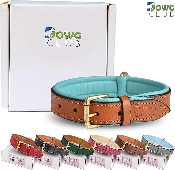 Leather Dog Collar | Dog Collar for Extra Large Dogs, 1.5 Inch Wide, Tan | Genuine, Full Grain, Heavy Duty, Comfortable, Inner Soft Padding (X-Large (Fit Neck Size 22"-26"), Tan)