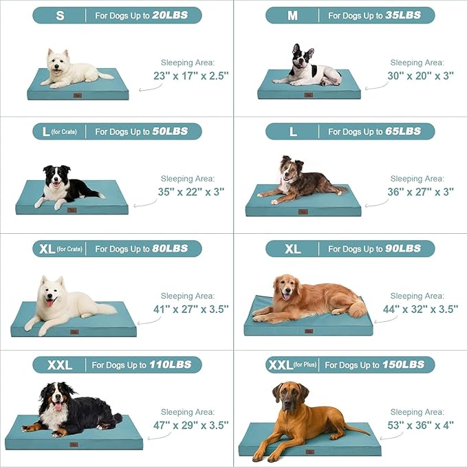 Outdoor Orthopedic Dog Bed for Medium Dogs & Cats, Waterproof Flat Pet Mat with Egg Crate Foam & Washable Removable Oxford Cover, 30x20 Inch, Light Blue