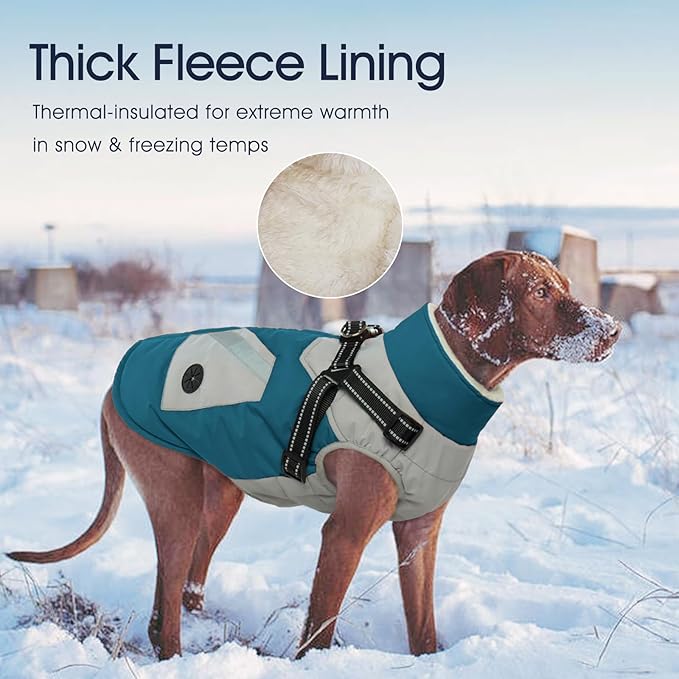 IECOii Dog Winter Jacket for Small Dogs, Waterproof Dog Coat with Harness Built in, Windproof Reflective Zip Up Fleece Jacket for Dogs, Puppy Thermal Warm Snowsuit for Cold Weather, Turquoise Green, S