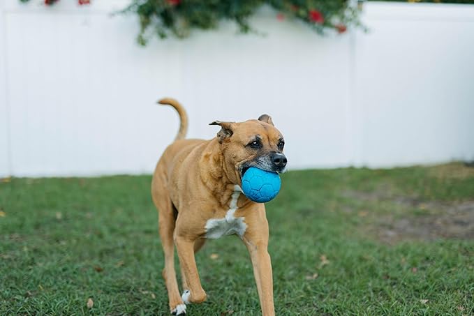 Jolly Pets Mini Jolly Soccer Ball; Floating-Bouncing Dog Toy; 4" Green Apple