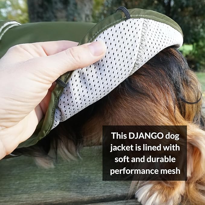 DJANGO Dog Jacket & Raincoat – Lightweight Water-Resistant Coat for Small, Medium & Long Dogs Like Dachshunds – Reflective, Adjustable Fit, Harness-Compatible & Easy-Access Harness Hole - Green, Small