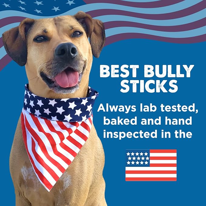 Best Bully Sticks Premium 12 Inch Beef Trachea for Dogs - 12 Count (Pack of 1) - All-Natural, Grain-Free, Single-Ingredient, Promotes Dental Health