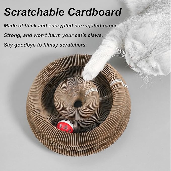 Kitty Kurl Cat Toy