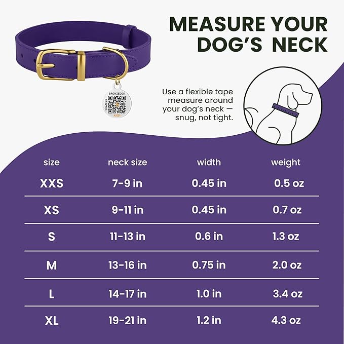 BRONZEDOG Leather Dog Collar with Metal Buckle Durable Basic Pet Collars for Small Medium Large Dogs (11-13 Inch (Pack of 1), Purple & Gold Buckle)