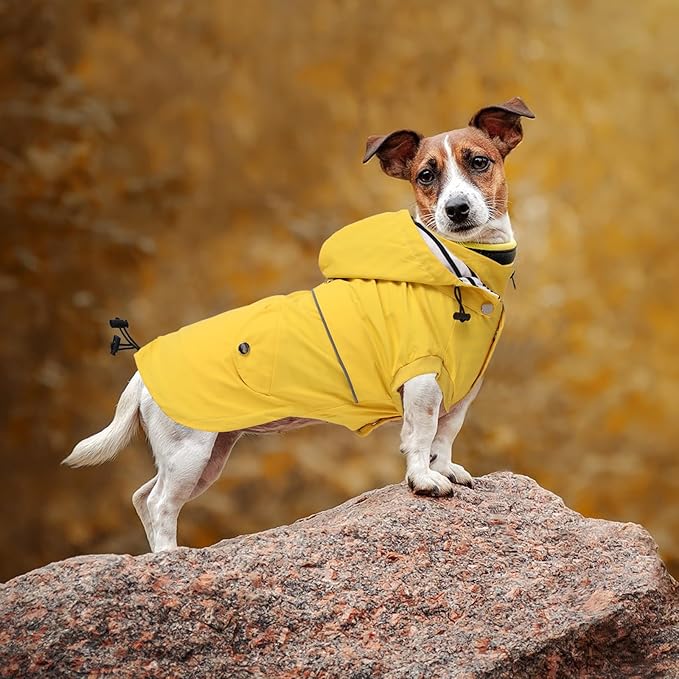 Dog Raincoat Waterproof Raincoats Dog rain Jacket Buttons Zipper Hood Drawstring Suitable for Small Medium Yorkie Terrier Schnauzer Poodle Border Collie Labrador 8lbs to 80lbs Yellow M