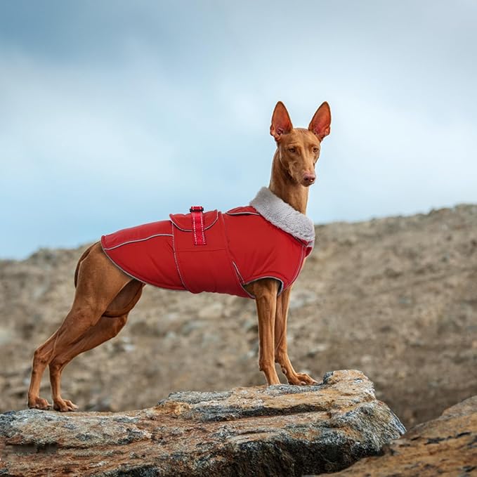 Lelepet Warm Dog Coat Waterproof Dog Jacket Reflective Fleece Vest with Adjustable Buckle Hook & Loop, Windproof Winter Jacket Dogs Coats for Small Medium Large Dogs, Red, S
