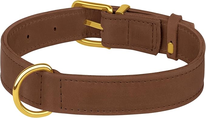Leather Dog Collar - Heavy Duty Adjustable Soft Padded Pet Collars for Small Medium Large Dogs Breed - Black Green Brown Pink Red Blue (Cognac, M, 12"-15" Neck Fit)