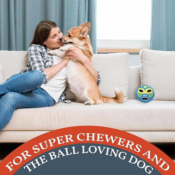 Flourish Pets 2 in 1 Multi-Layer Chew Toy for Active Dogs | Non-Toxic BPA Free Double Stitched Soft Fabric Exterior Dog Toys | Long-Lasting Dog Plush Toys ā Lachador 3.5"