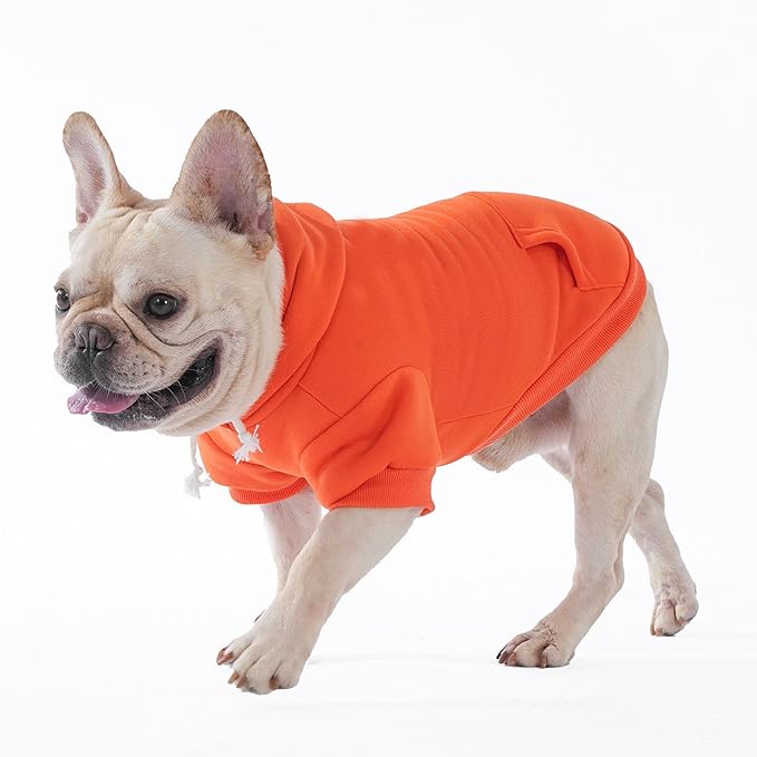 KOOLTAIL Fall Dog Hoodie - Soft & Warm Dog Thanksgiving Sweater with Leash Hole and Pocket, Pet Winter Coat, Cold Weather Clothes Sweatshirt for Small Medium Large Dogs Puppy Cat Boys Girls, Orange M