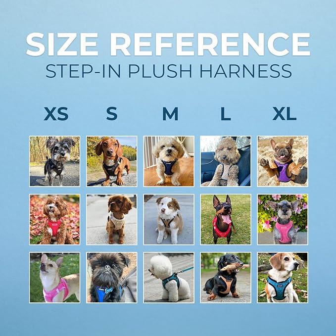 Best Pet Supplies - All Weather Mesh / Plush, Reflective, No Pull Harness for Small, Medium Dogs, Cats - Secure with Hook & Loop Fastener, Buckle, Double D-Rings - Black Plush, XL