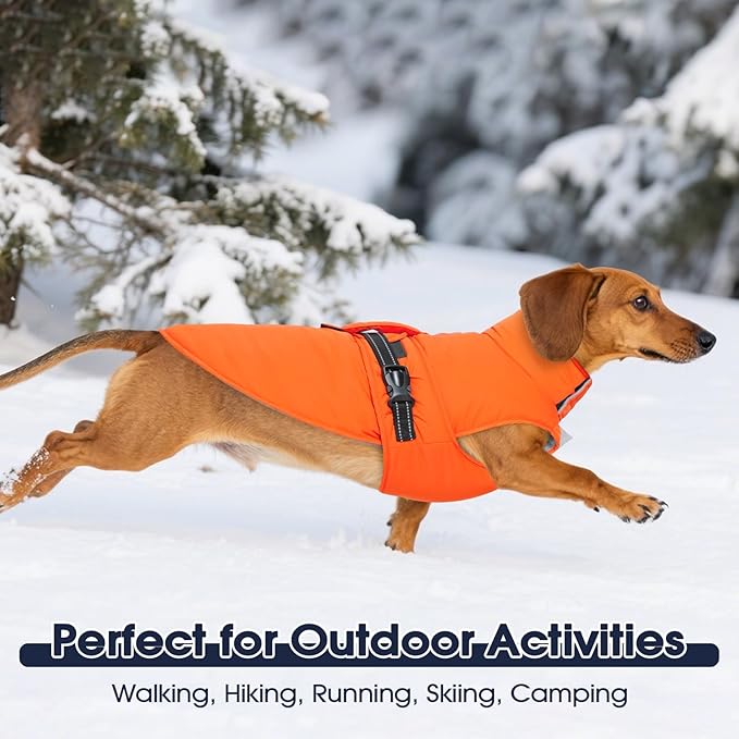 IECOii Large Dog Coat - Reflective, Adjustable & Windproof, Warm Vest for Corgi & Beagle & French Bulldog, Waterproof Fleece Lined Jacket for Hiking, Quick Snap Buckles, Orange, Size L