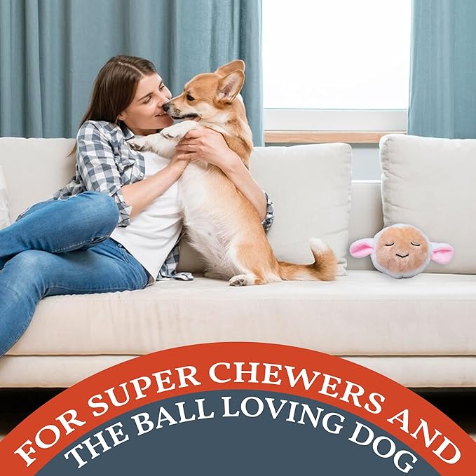 Flourish Pets 2 in 1 Multi-Layer Chew Toy for Active Dogs | Non-Toxic BPA Free Double Stitched Soft Fabric Exterior Dog Toys | Long-Lasting Dog Plush Toys ā Lamb 3.5"