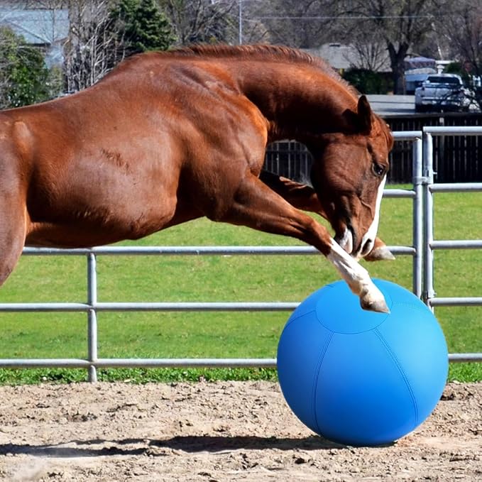 Herding Ball for Dogs and Horses - 25" Jolly Ball for Dogs, Agility Training Equipment, Herding for Australian/German Shepherd, Improved Bite-Resistant, Reinforced Sewing Dog Toys - Blue&Yellow (New)
